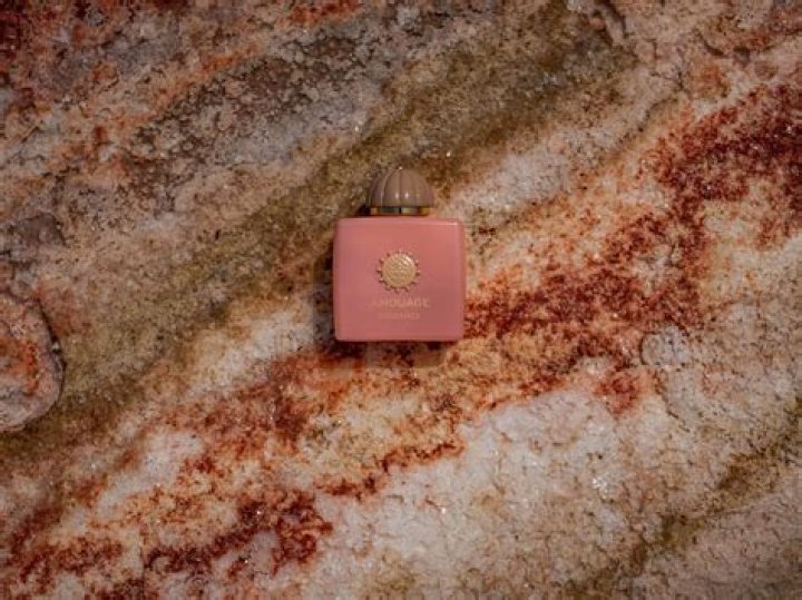 Tony Balardi: A Deep Dive Into His Life And Legacy